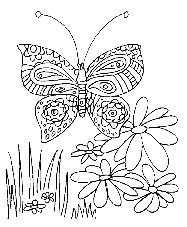 Dieren Kleurplaten Vlinder