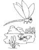 libelle kleurplaat