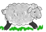 schaap watten